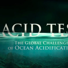 Acid Test